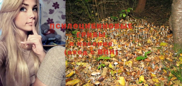 марихуана Лабытнанги