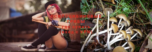 меф Ладушкин