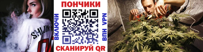 Каннабис THC 21%  Купить где  Электросталь 